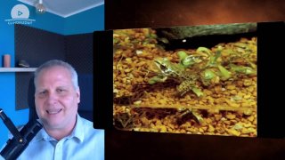 Mi van, ha a tested működése egészen más, mint amit tanultunk? - Bevezetés