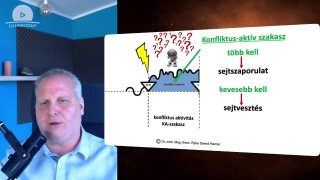 A betegségek mögötti biológiai értelem – hogyan segít eligazodni a Hameri iránytű?