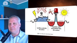 Hogyan fut le benned egy „betegség” elejétől a végéig? – az 1. biológiai természettörvény