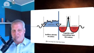 Mi történik valójában, amikor megbetegszel? – a 2 fázis titka