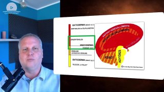Miért nem véletlen, hogy hol jelenik meg a tünet? – a 3. biológiai természettörvény