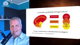 Kórokozók: tényleg ellenünk dolgoznak? – a 4. biológiai természettörvény