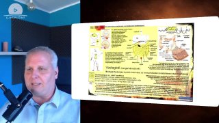 A túlélés programjai – „falat” konfliktusok és a belső csíralemez folytatása